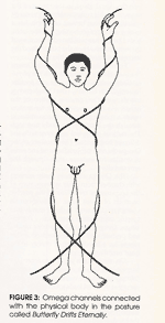 FIGURE 3: Omega channels connected with the physical body in the posture called 'Butterfly Drifts Eternally'.